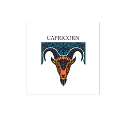 Capricorn010 (Amend)